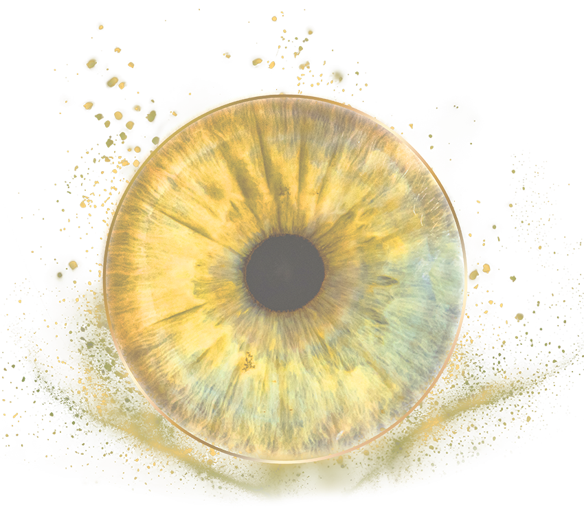 Iris Image